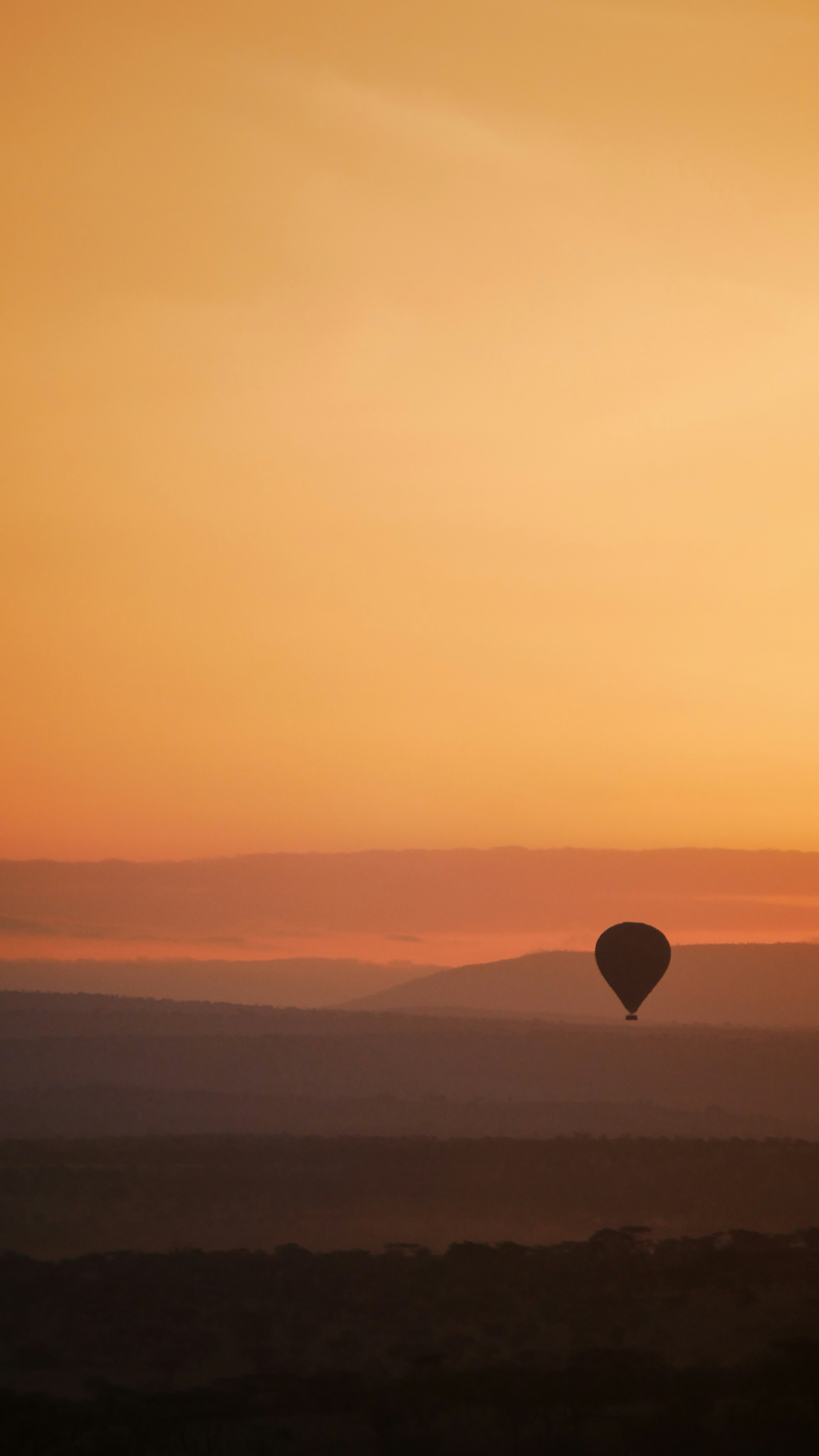 Hot air balloon ride at sunrise
