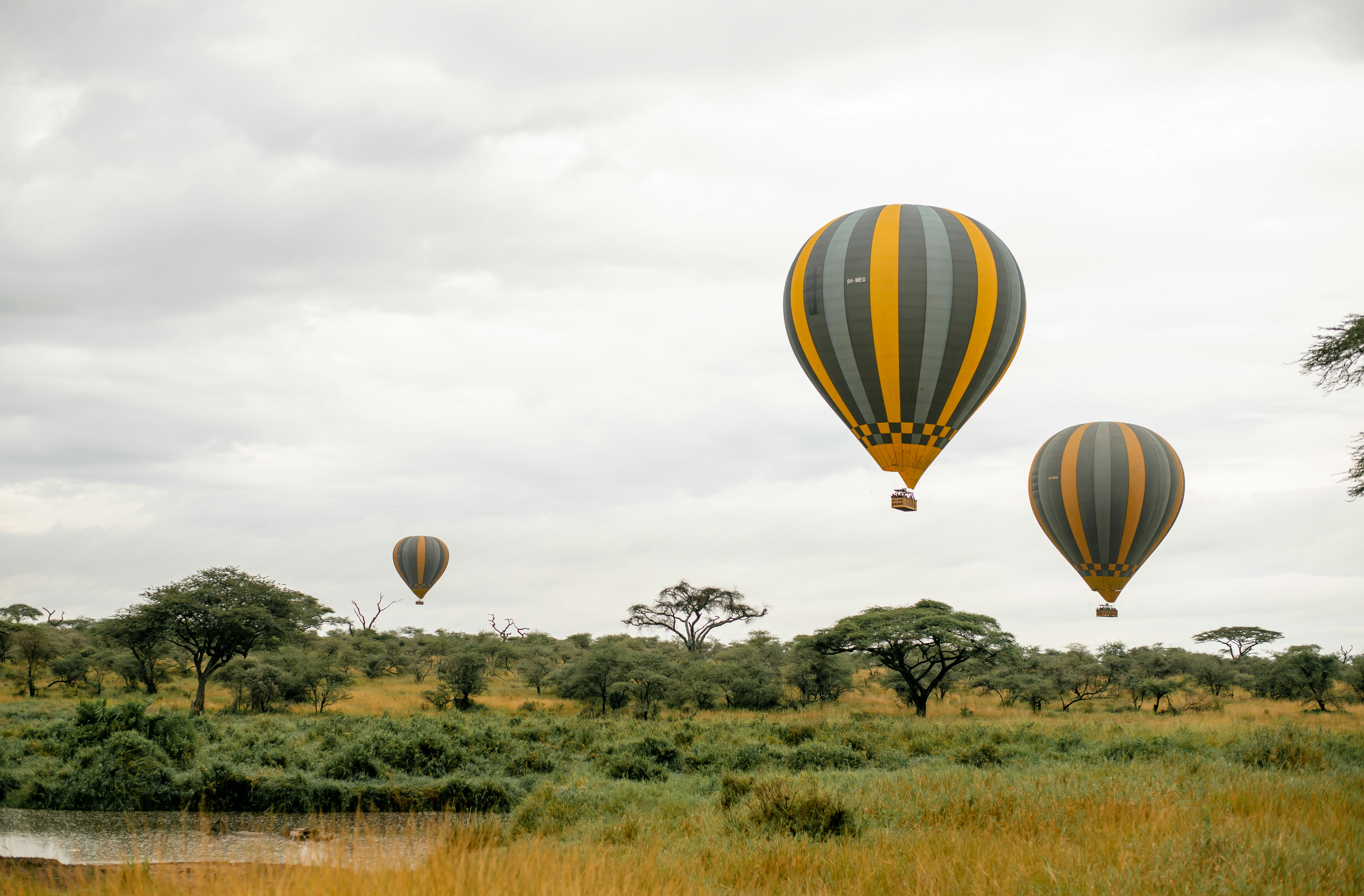 Hot air balloon soaring over the Serengeti