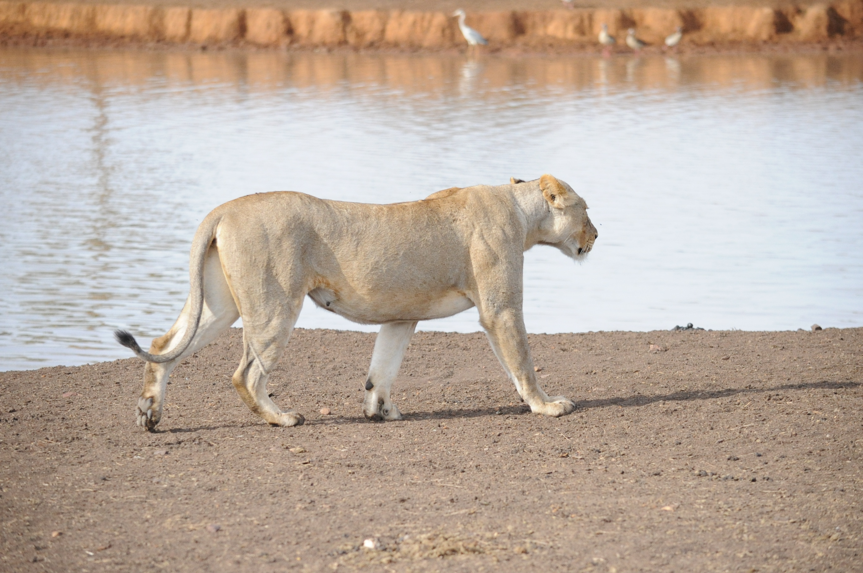 Destinations in Tanzania