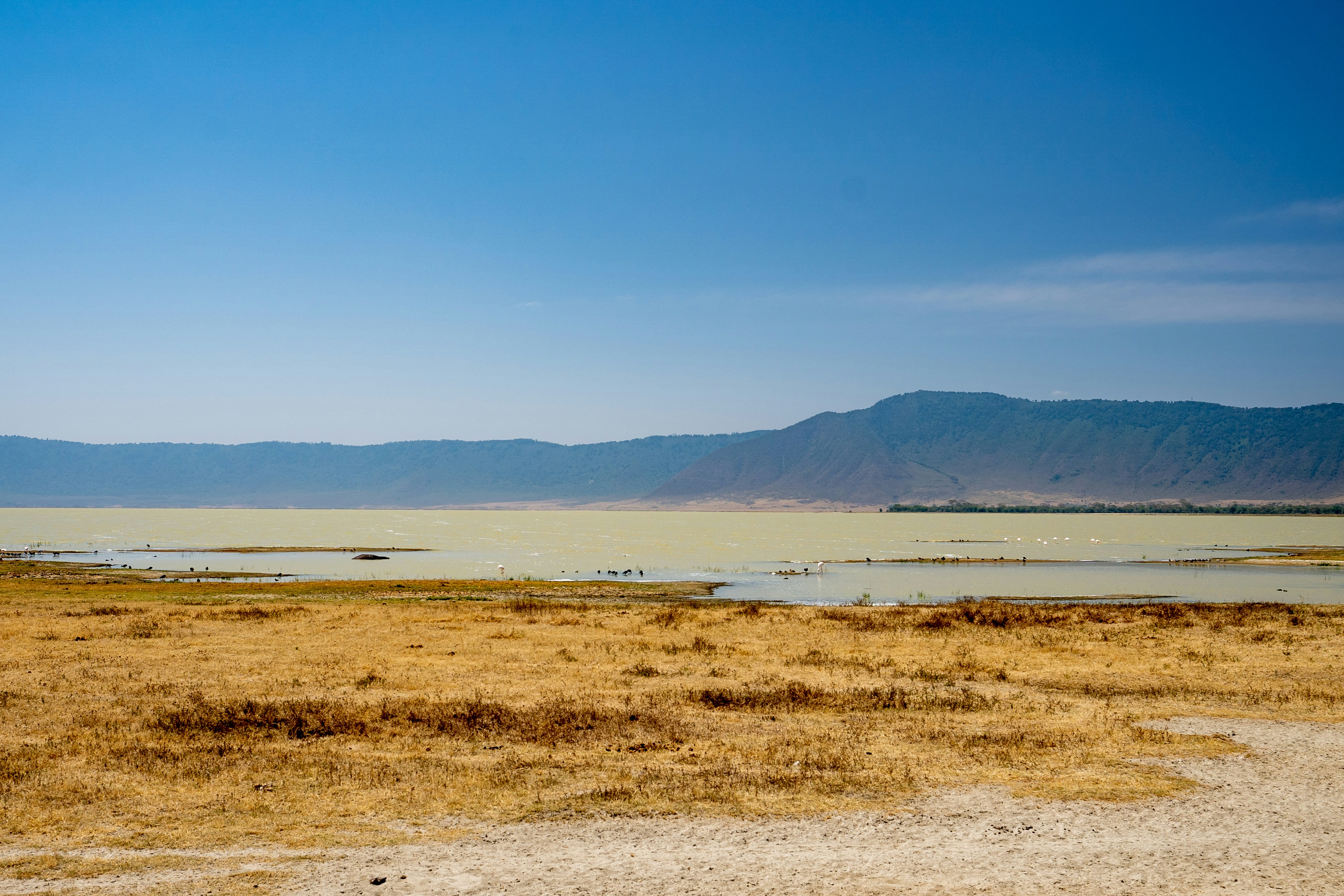 Ngorongoro Crater