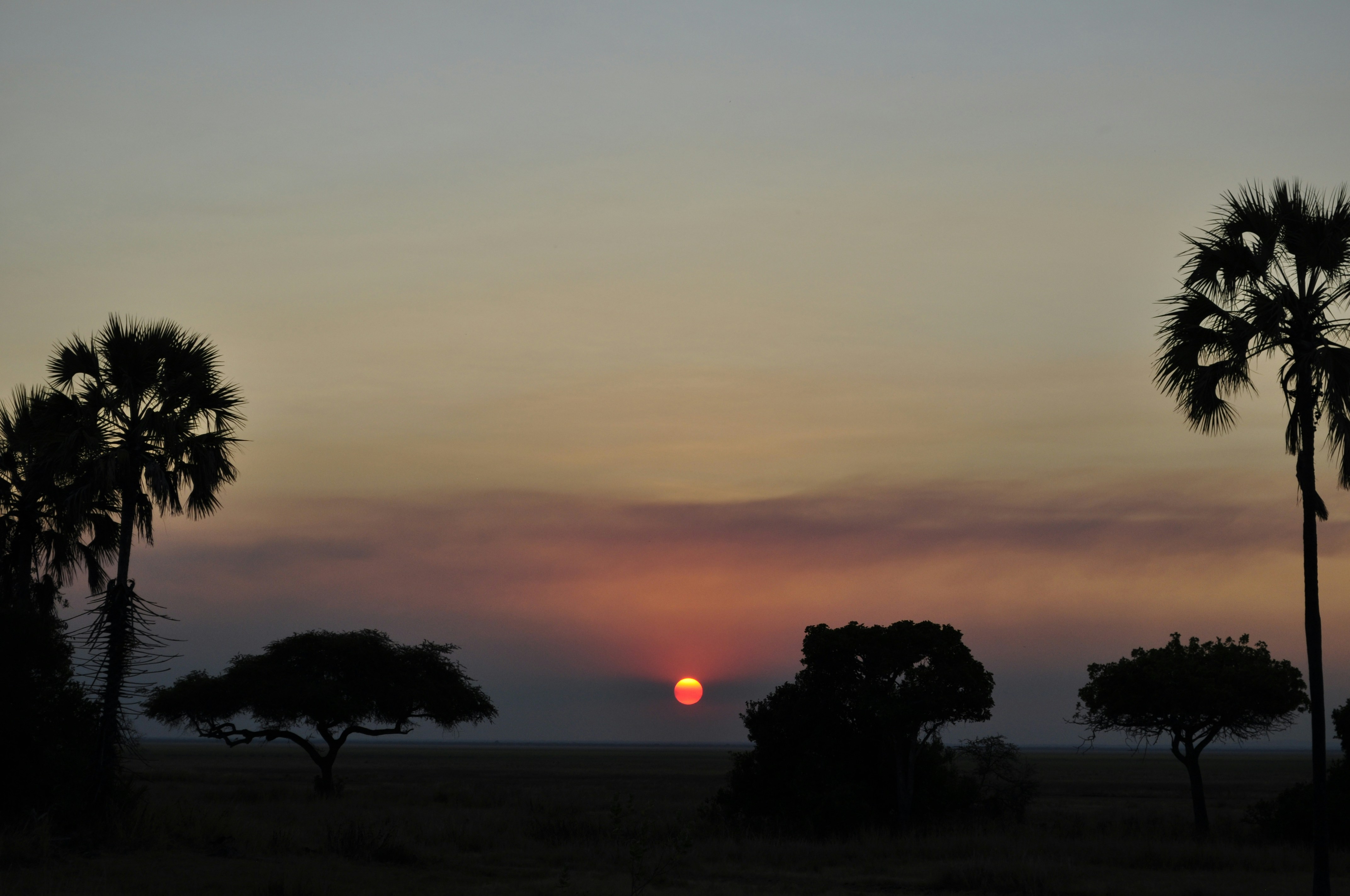 Night Game Drive Hero